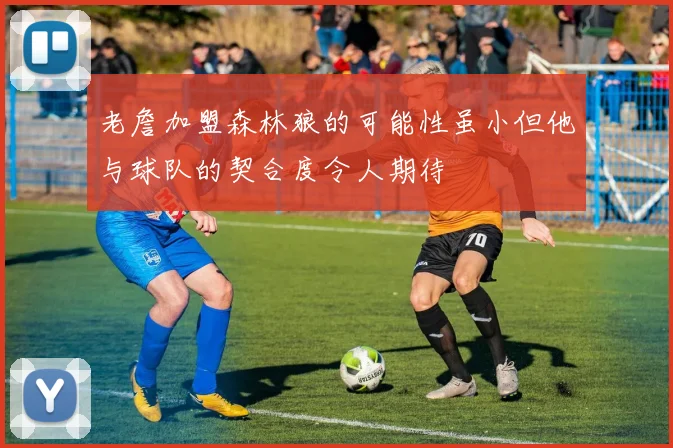 老詹加盟森林狼的可能性虽小但他与球队的契合度令人期待